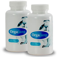 Orgalang Orgalang