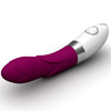 Iris Vibrator - Paars