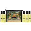 Kamasutra - Massage Therapy Kit Kamasutra - Massage Therapy Kit